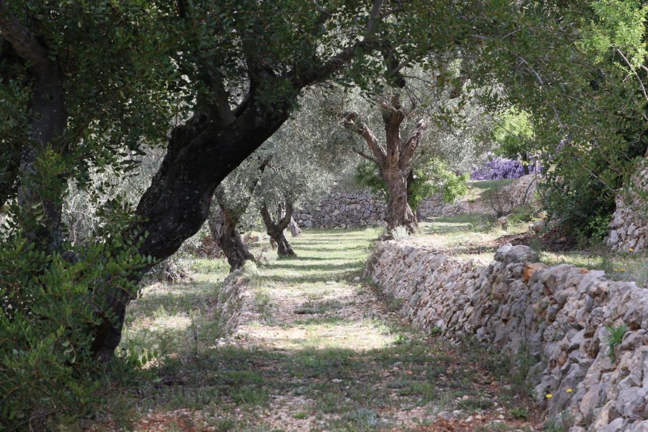 Villa Foia Vella - Adults Only Benigembla Bagian luar foto