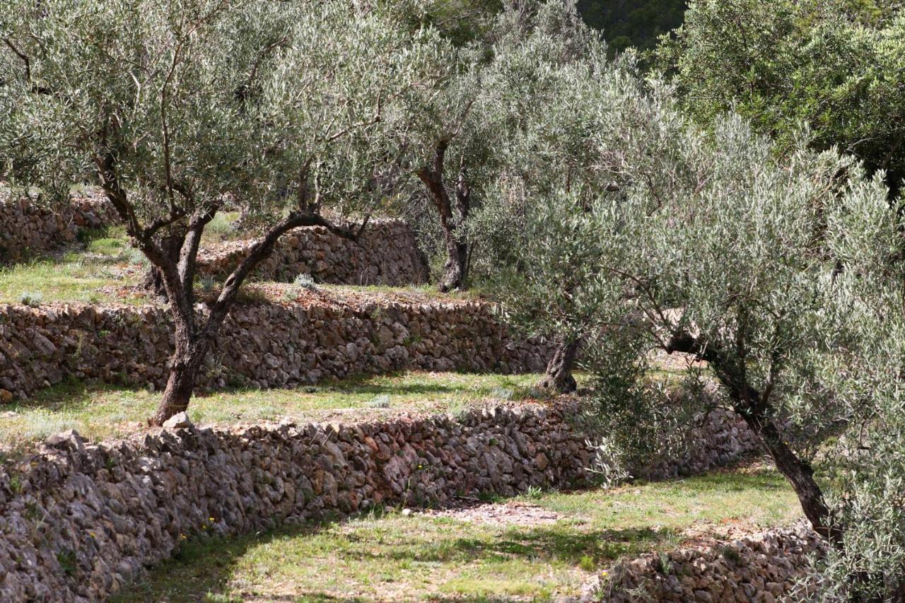 Villa Foia Vella - Adults Only Benigembla Bagian luar foto